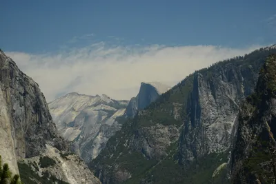 DSC_2350 (Large).JPG